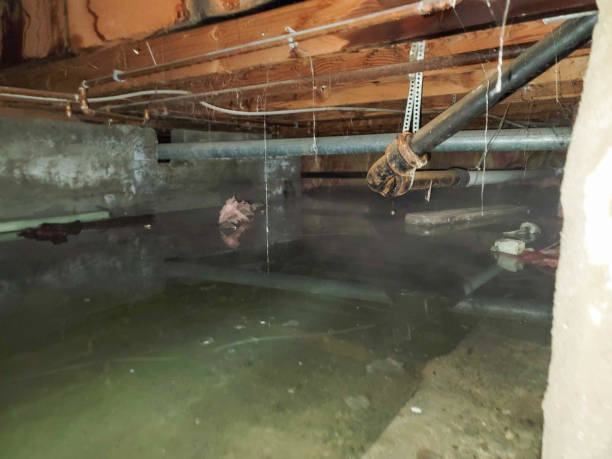 Best 24-hour water damage restoration  in Minonk, IL