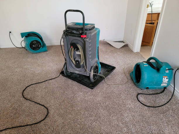 Best Water damage cleanup near me  in Minonk, IL