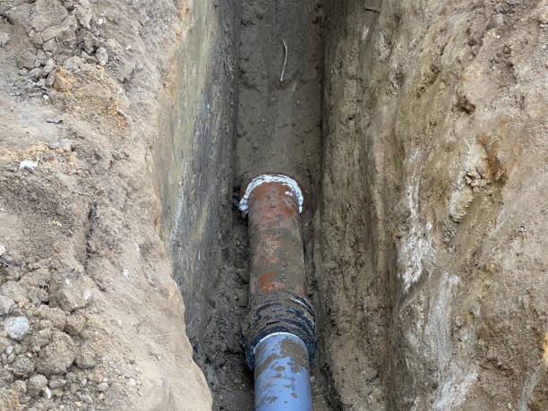 Best Flood damage cleanup  in Minonk, IL