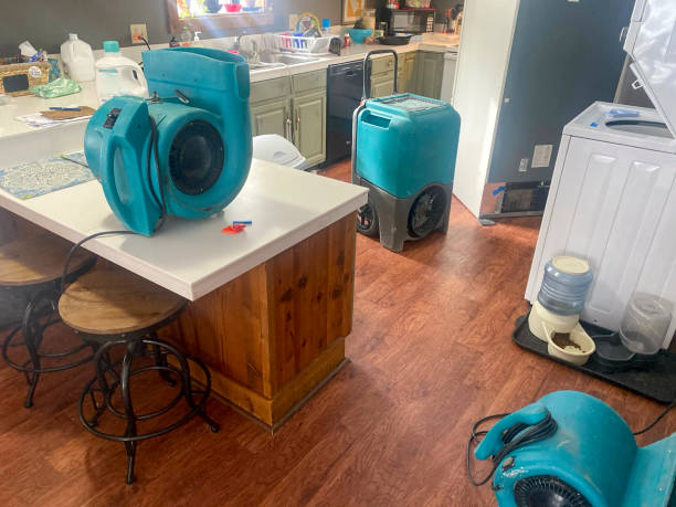 Best Water damage repair service  in Minonk, IL