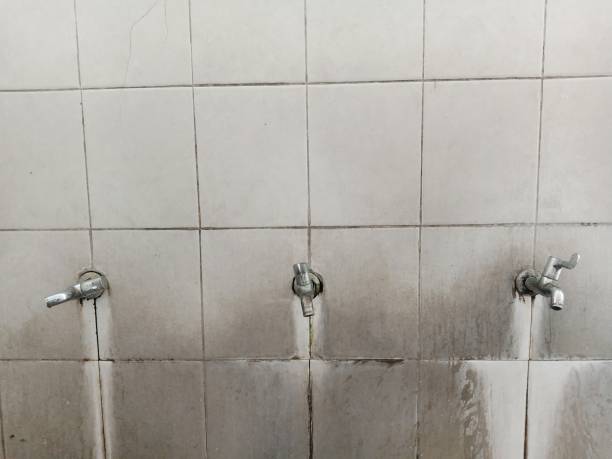Best Carpet water damage restoration  in Minonk, IL