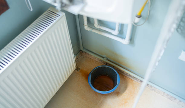 Best Fire Damage Restoration  in Minonk, IL