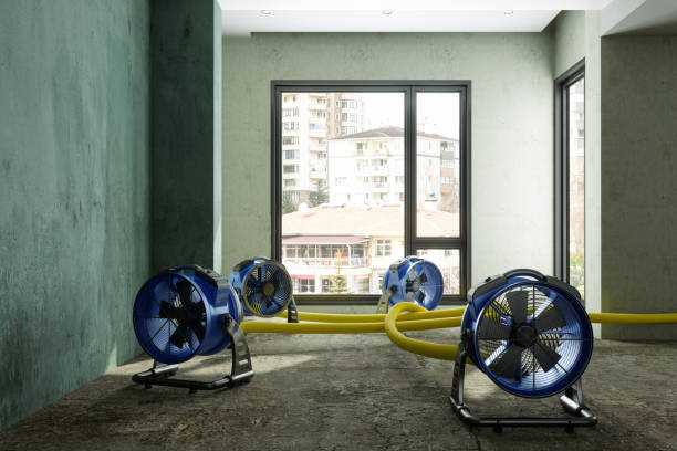 Best Basement water damage restoration  in Minonk, IL