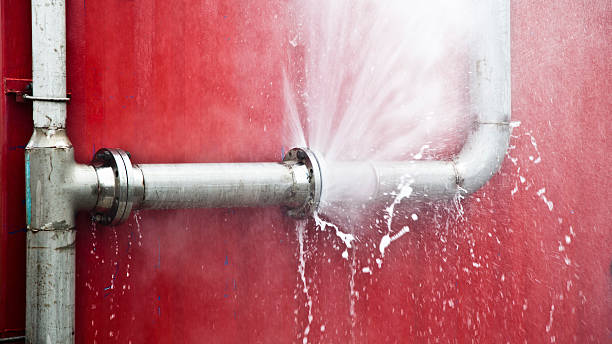 Best Water damage restoration near me  in Minonk, IL