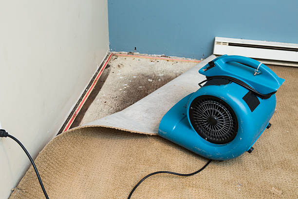 Best Commercial water damage restoration  in Minonk, IL