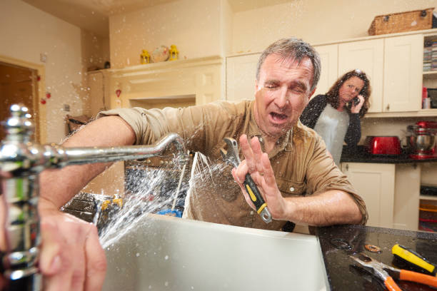 Best Water damage restoration insurance claims  in Minonk, IL